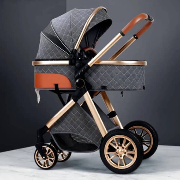 Adjustable High View Baby Stroller Carriage