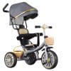 3-in-1 Convertible Stroller Trike
