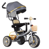 3-in-1 Convertible Stroller Trike