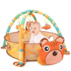 Baby Adventure Activity Play Gym