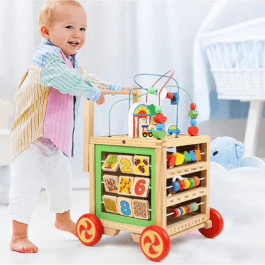 Kids Wooden Educational Walker
